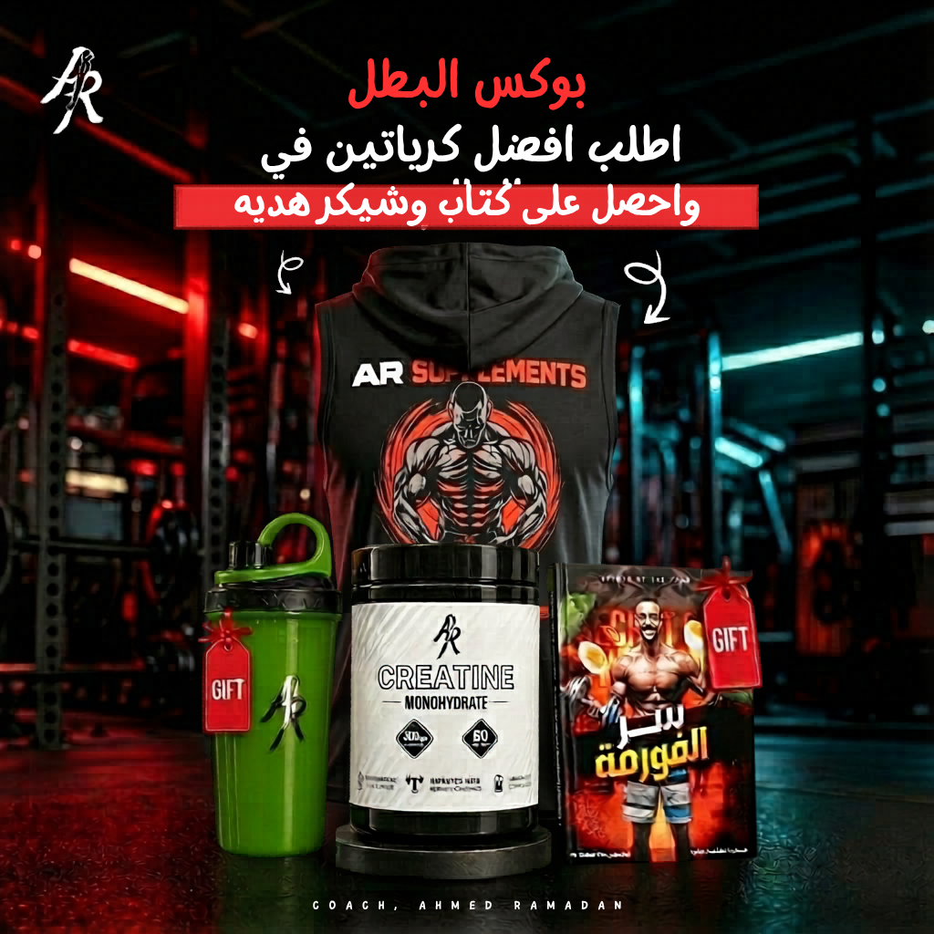 بوكس البطل 4