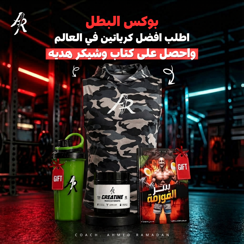 بوكس البطل 5