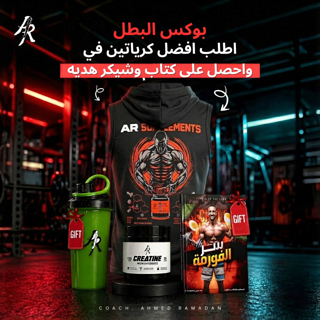 بوكس البطل 6